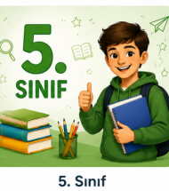 5. Sınıf